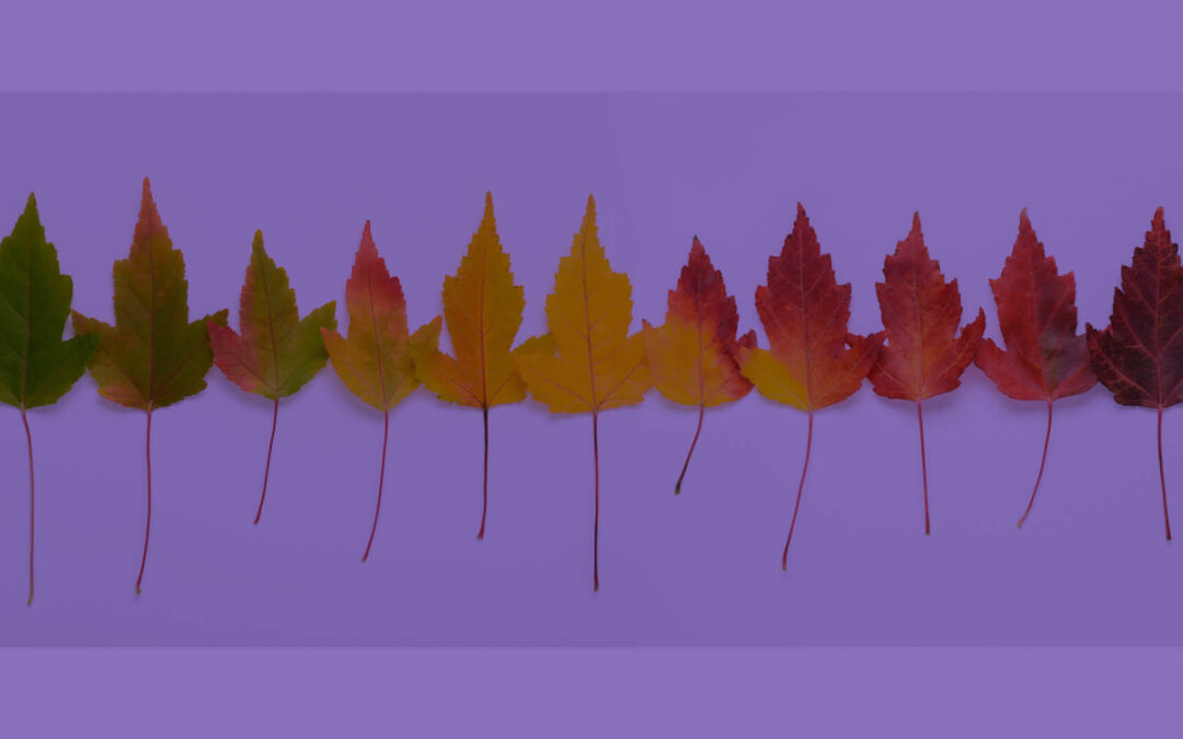 Crossing Thresholds: Finding Balance in Life’s Transitions