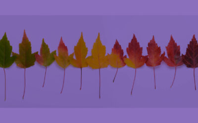 Crossing Thresholds: Finding Balance in Life’s Transitions