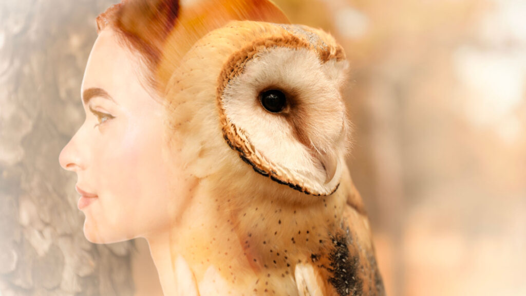 Shamanic Journeying to meet Power Animal